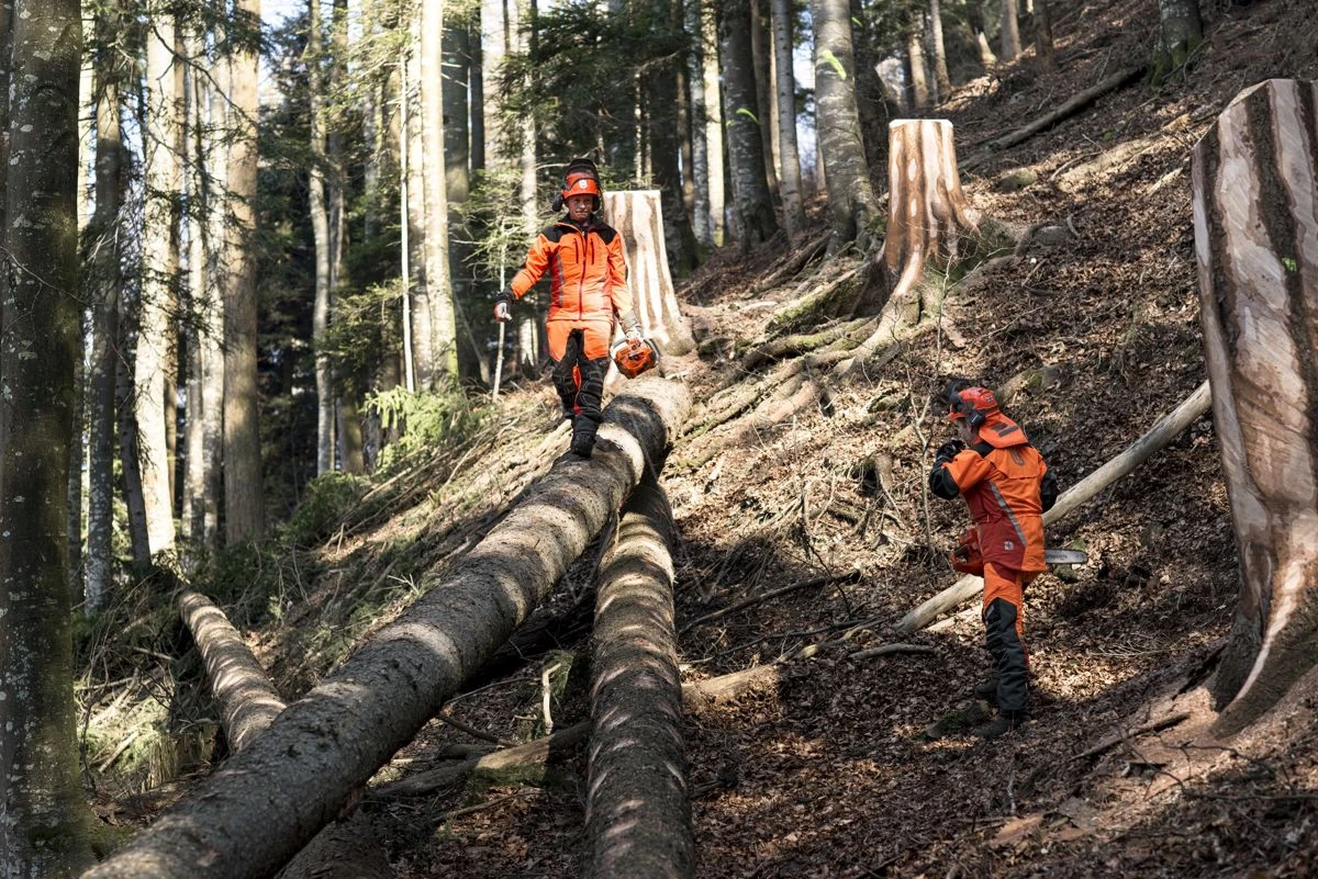 Husqvarna 572xpg Kettingzaag -50cm 5.9pk 10 Husqvarna 572xpg Kettingzaag -50cm 5.9pk - Afbeelding 8