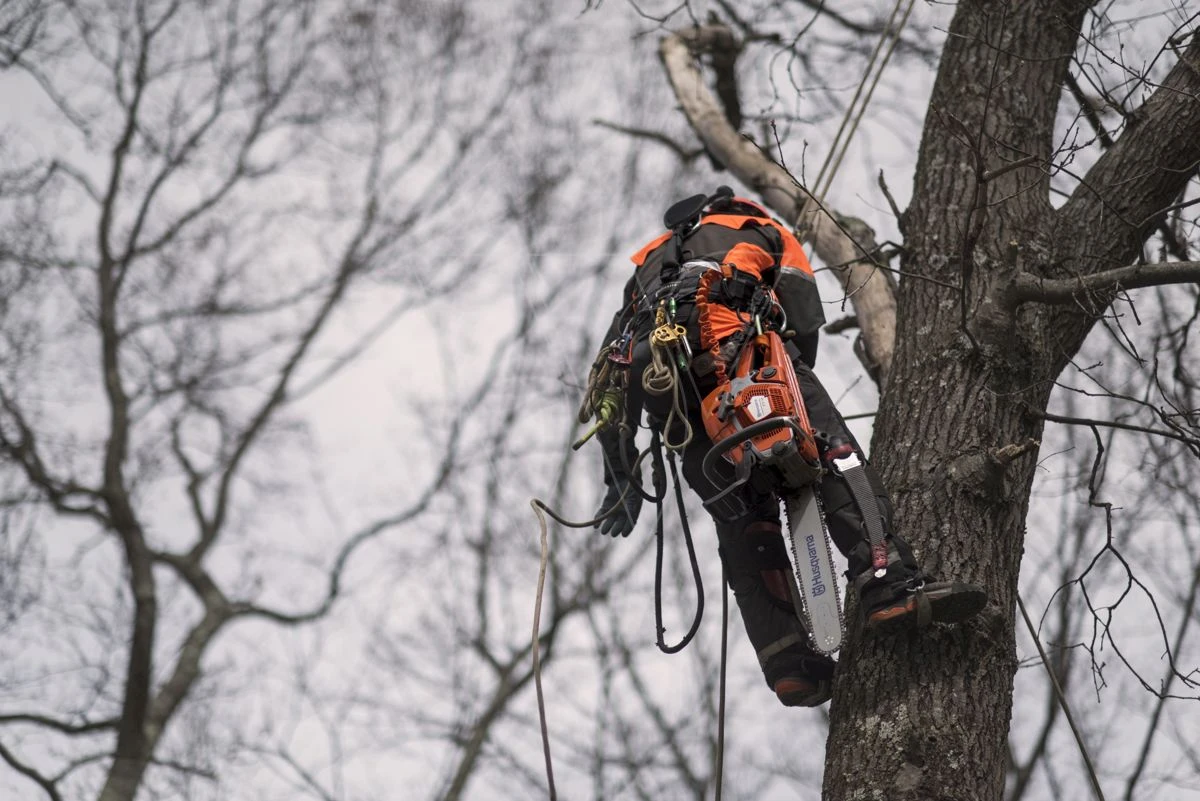 Husqvarna 572xpg Kettingzaag -50cm 5.9pk 18 Husqvarna 572xpg Kettingzaag -50cm 5.9pk - Afbeelding 16