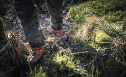 Husqvarna Technical Zaagschoen 24ms - 46 10 Husqvarna Technical Zaagschoen 24ms - 46 -Husqvarna 5976592XX 5 HUSQVARNA20TECHNICAL20ZAAGSCHOEN2024MS