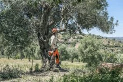 Husqvarna Stokzaag 525p4s 240cm 1.4pk 11 Husqvarna Stokzaag 525p4s 240cm 1.4pk -Husqvarna 967329401 4 Husqvarna20stokzaag20240cm