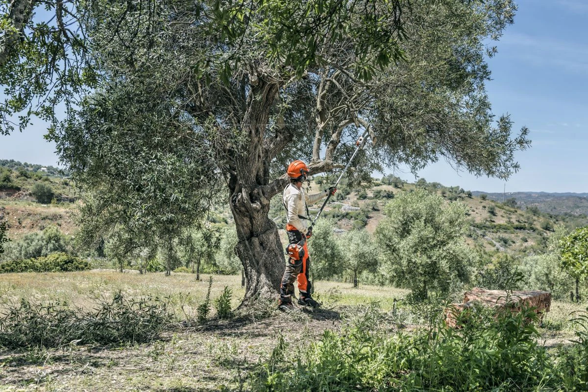 Husqvarna Stokzaag 525p4s 240cm 1.4pk 7 Husqvarna Stokzaag 525p4s 240cm 1.4pk - Afbeelding 5