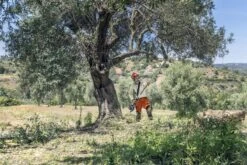 Husqvarna Stokzaag 525p4s 240cm 1.4pk 13 Husqvarna Stokzaag 525p4s 240cm 1.4pk -Husqvarna 967329401 6 Husqvarna20stokzaag20240cm