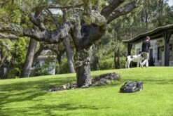 Husqvarna 440 Automower <4000m² -Husqvarna 967673312 5 Husqvarna20Automower2044020gazon204000m 1.jpg 1