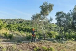 Husqvarna 530ip4 Accu Stokzaag Ex. Accu -Husqvarna 967884711 3 Husqvarna20accu20stok20zaag20536lip4