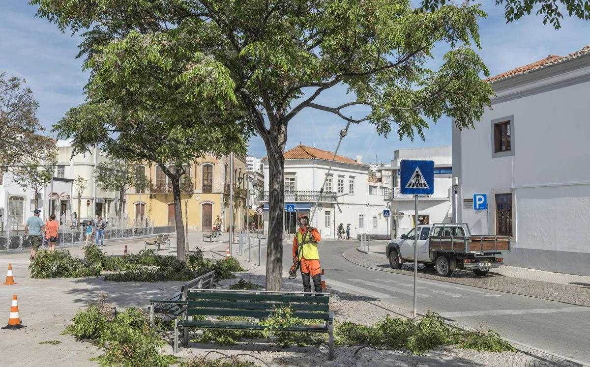 Husqvarna 530ipt5 Accu Stokzaag Ex.accu 5 Husqvarna 530ipt5 Accu Stokzaag Ex.accu - Afbeelding 3