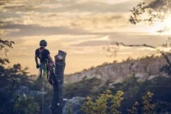 Husqvarna T540xp Mark Iii Klimzaag 30cm 19 Husqvarna T540xp Mark Iii Klimzaag 30cm -Husqvarna 970517912 7 HUSQVARNA20T540XP20MARK20III20BOOMZAAG2030CM