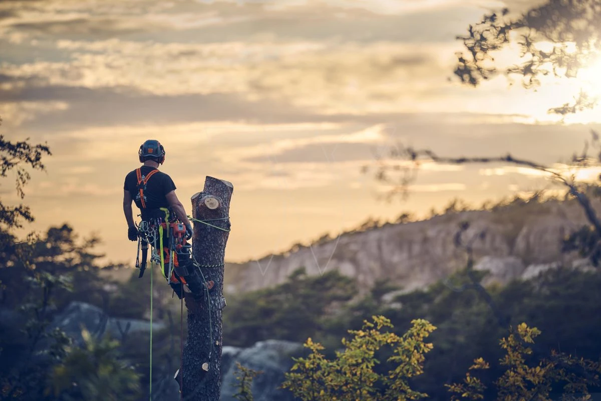 Husqvarna T540xp Mark Iii Klimzaag 35cm 10 Husqvarna T540xp Mark Iii Klimzaag 35cm - Afbeelding 8