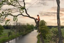 Husqvarna T540xp Mark Iii Klimzaag 35cm 20 Husqvarna T540xp Mark Iii Klimzaag 35cm -Husqvarna 970517914 8 HUSQVARNA20T540XP20MARK20III20BOOMZAAG2030CM