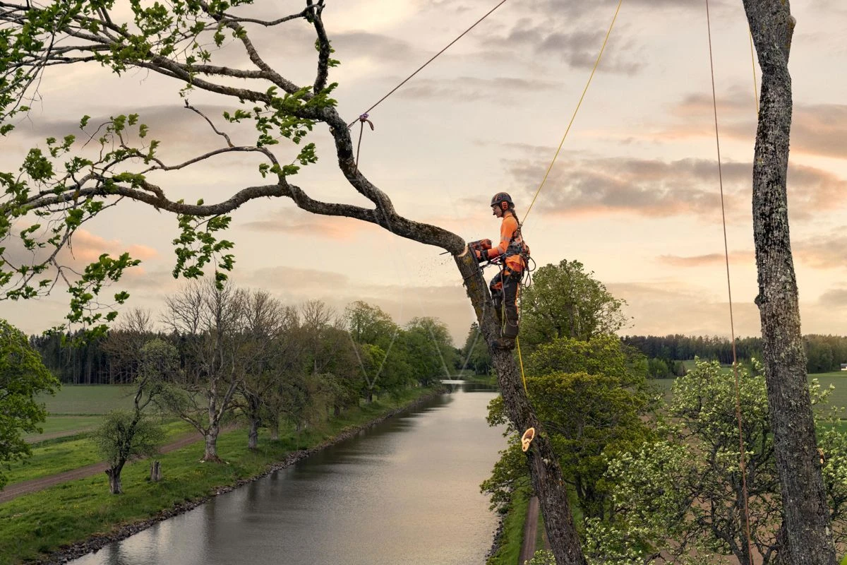 Husqvarna T540xp Mark Iii Klimzaag 35cm 11 Husqvarna T540xp Mark Iii Klimzaag 35cm - Afbeelding 9