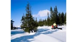 Husqvarna P520dx Zitmaaier Diesel -Husqvarna Husqvarna20Rider20P52020D20918